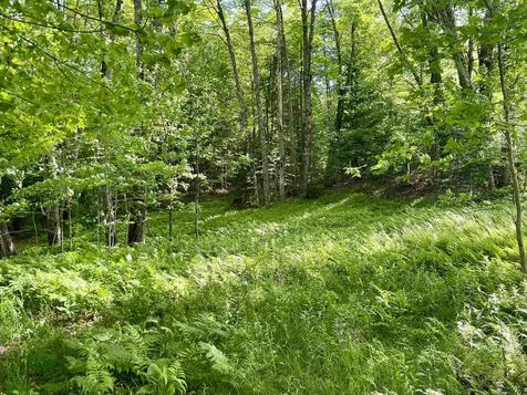 00 Old Farm Road Burke VT 05871