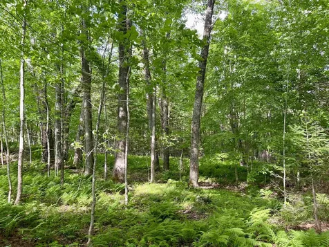 00 Old Farm Road Burke VT 05871