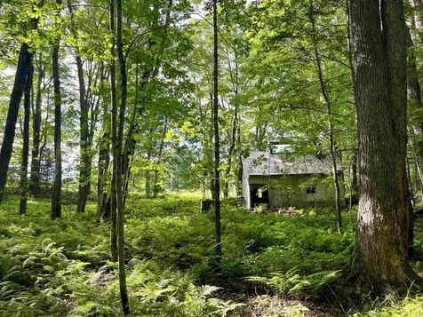00 Old Farm Road Burke VT 05871