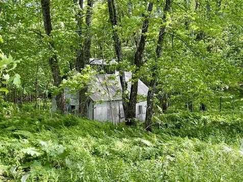 00 Old Farm Road Burke VT 05871