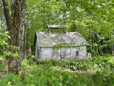00 Old Farm Road Burke VT 05871