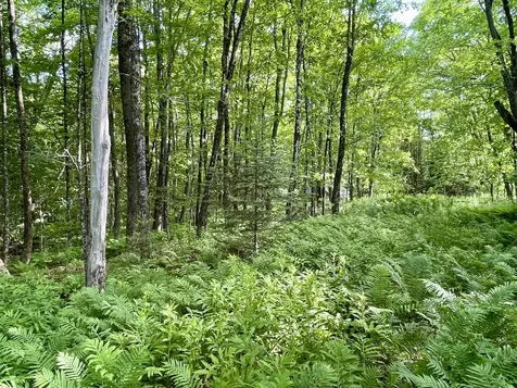 00 Old Farm Road Burke VT 05871