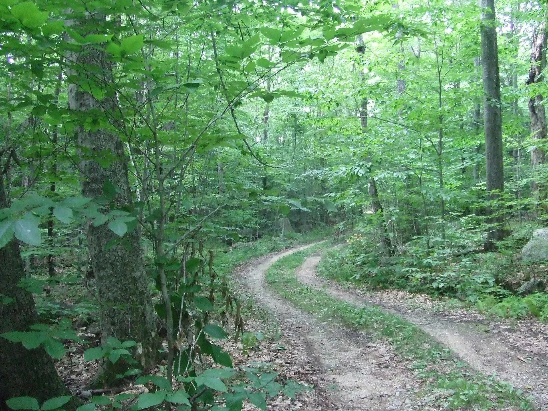 759 1st Crown Point Road Strafford NH 03884