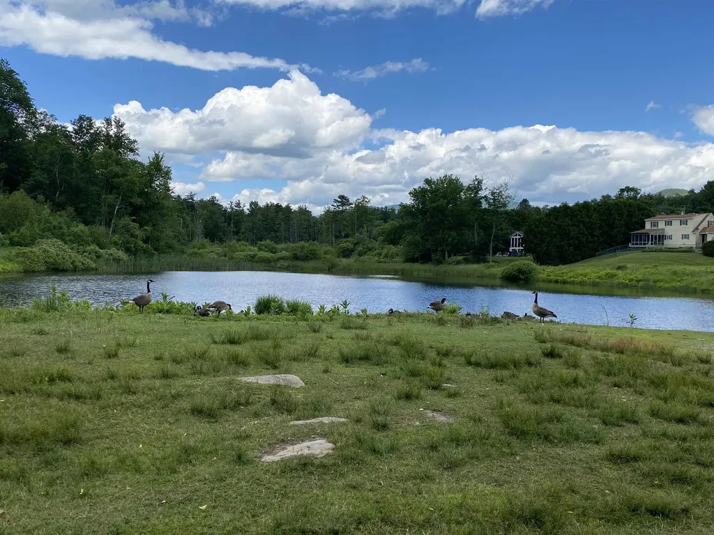 00 Sharon Drive Rutland City VT 05701