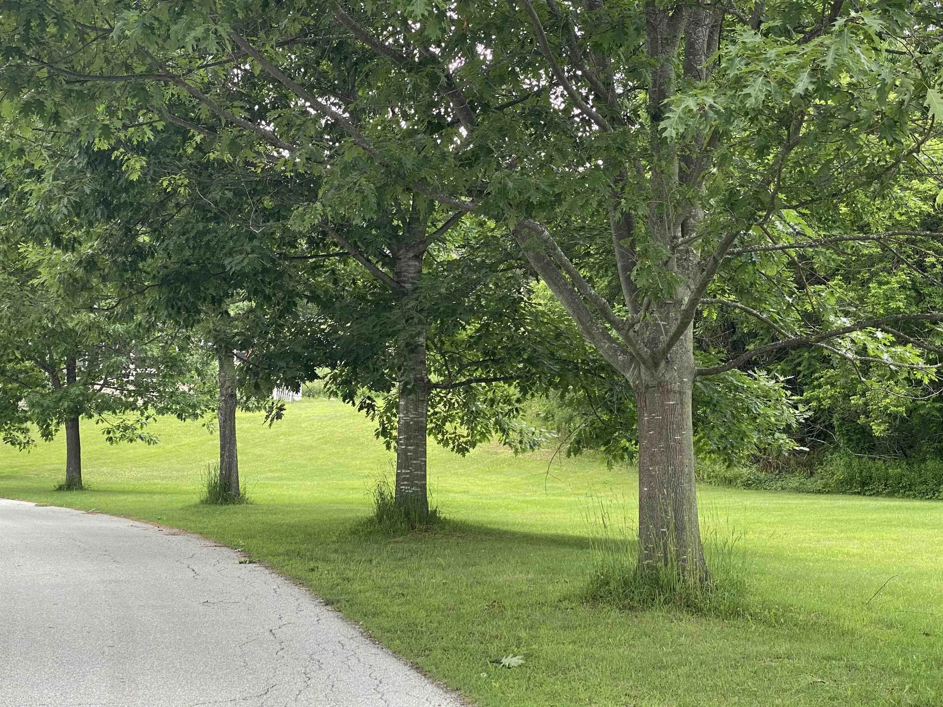 Rutland City VT, 00 Sharon Drive