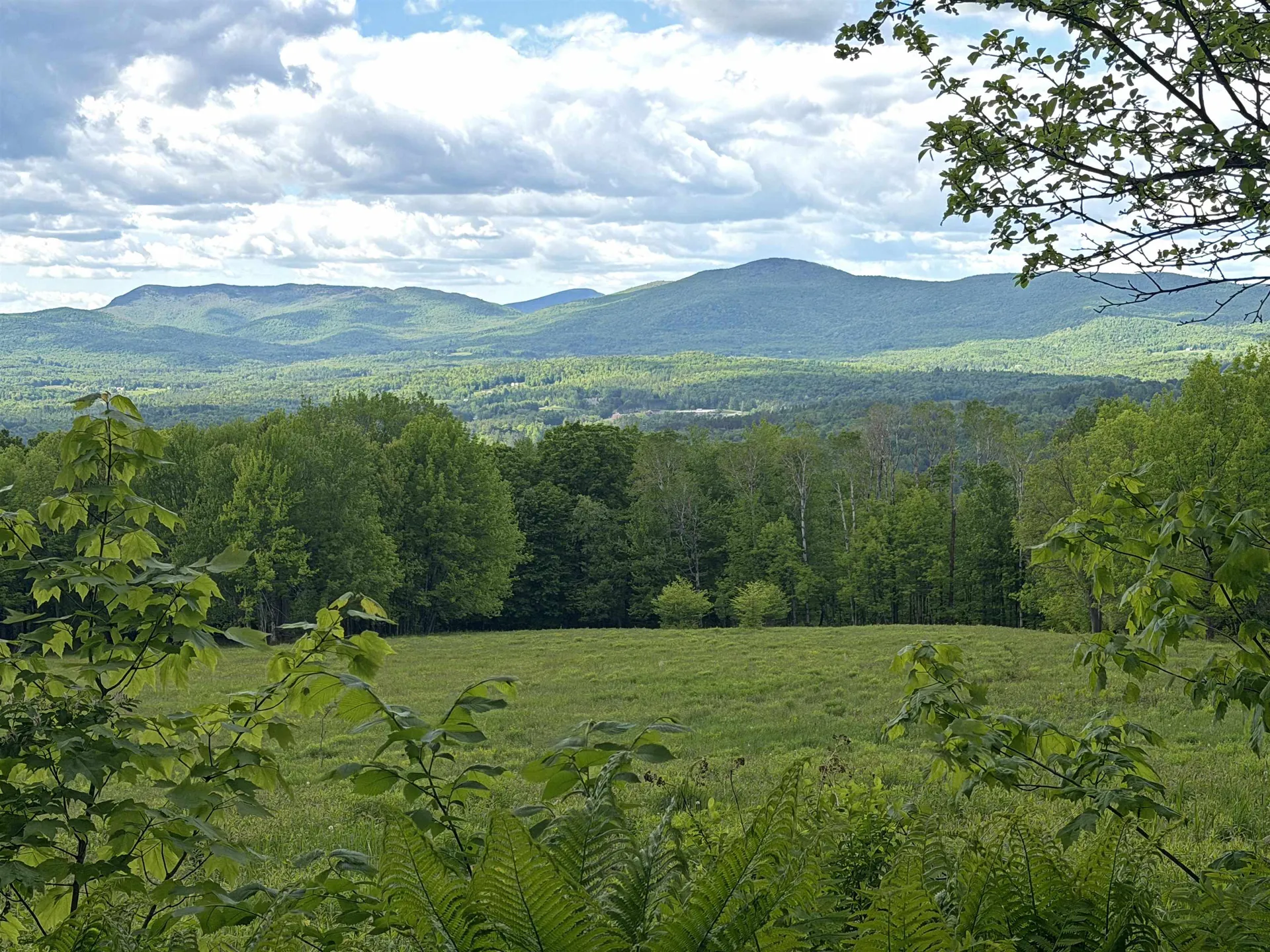 877 Grow Road Johnson VT 05656