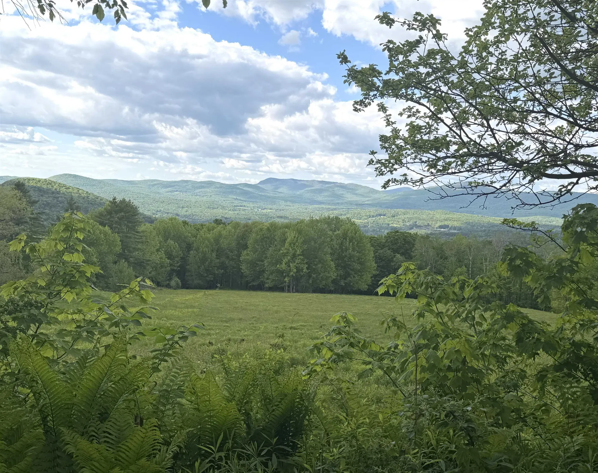 877 Grow Road Johnson VT 05656