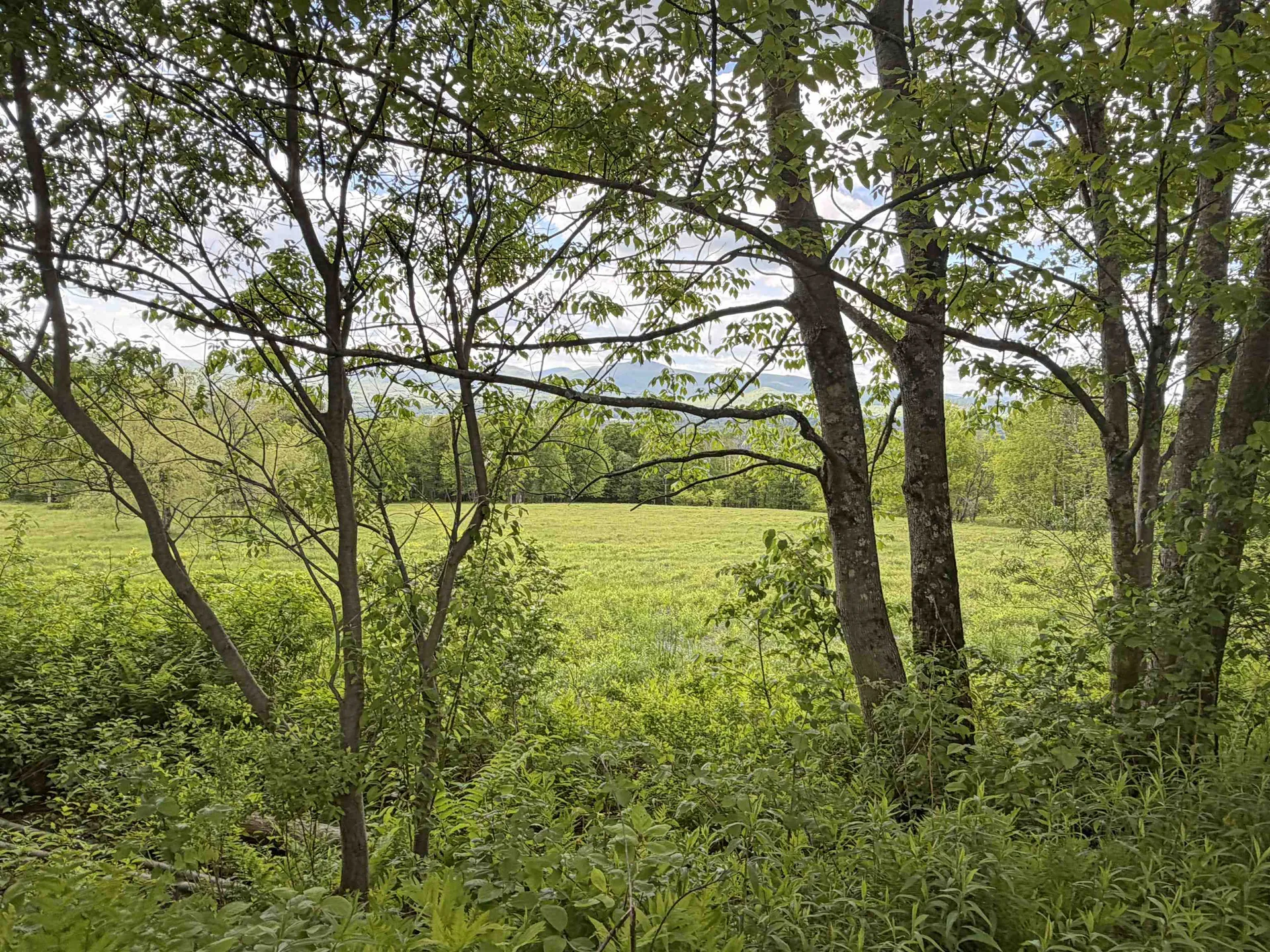 877 Grow Road Johnson VT 05656