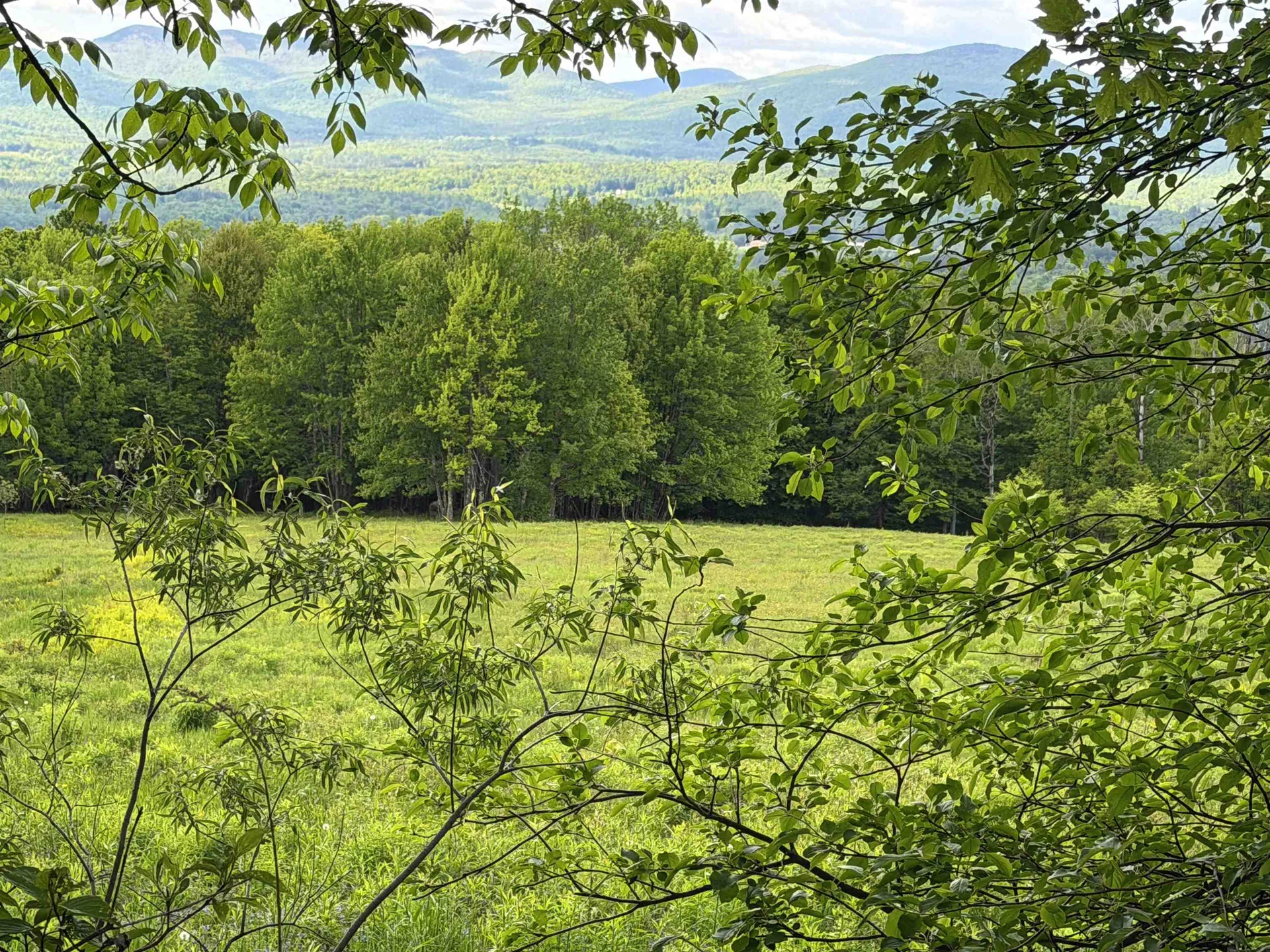 877 Grow Road Johnson VT 05656