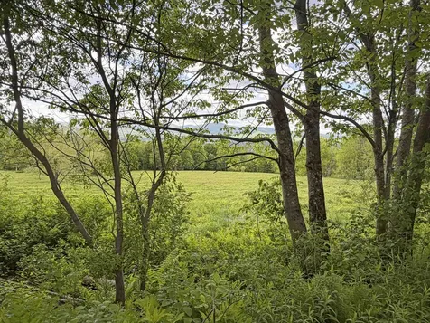 877 Grow Road Johnson VT 05656