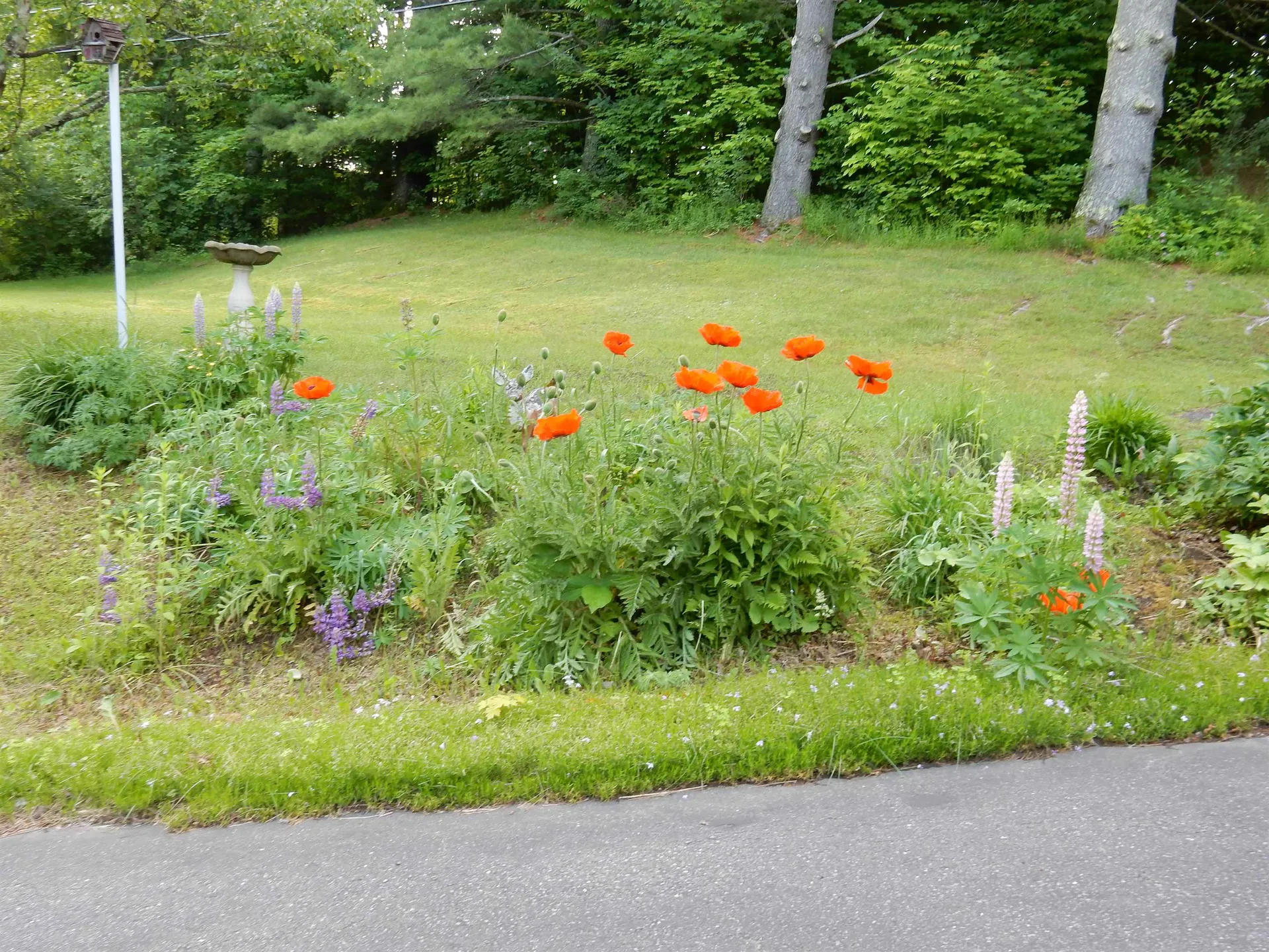 425 West Main Street Newport City VT 05855