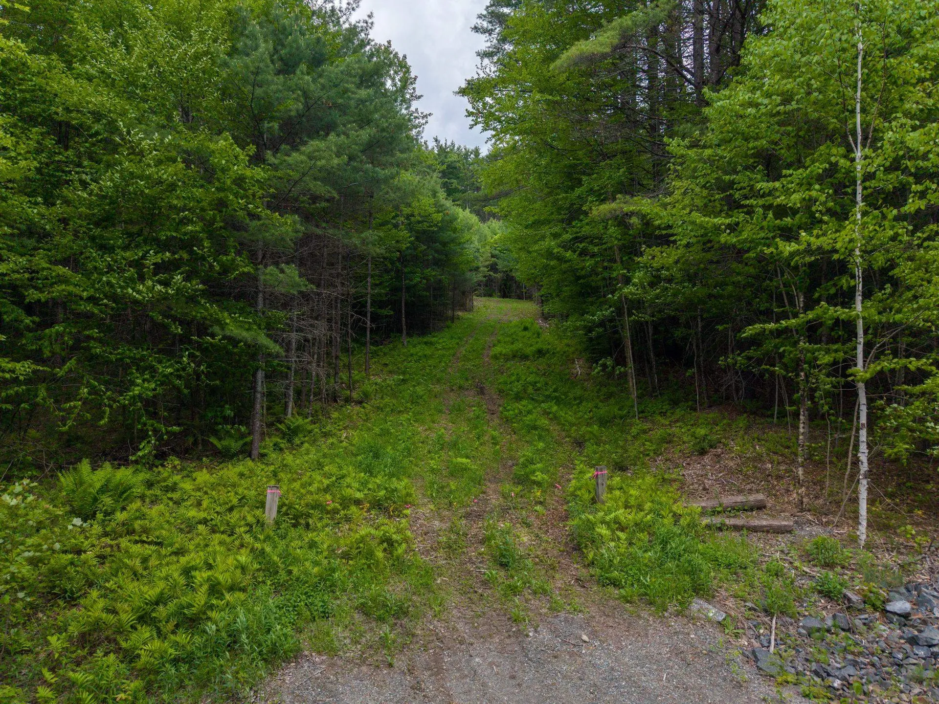 0 Tiger Town Road Norwich VT 05055