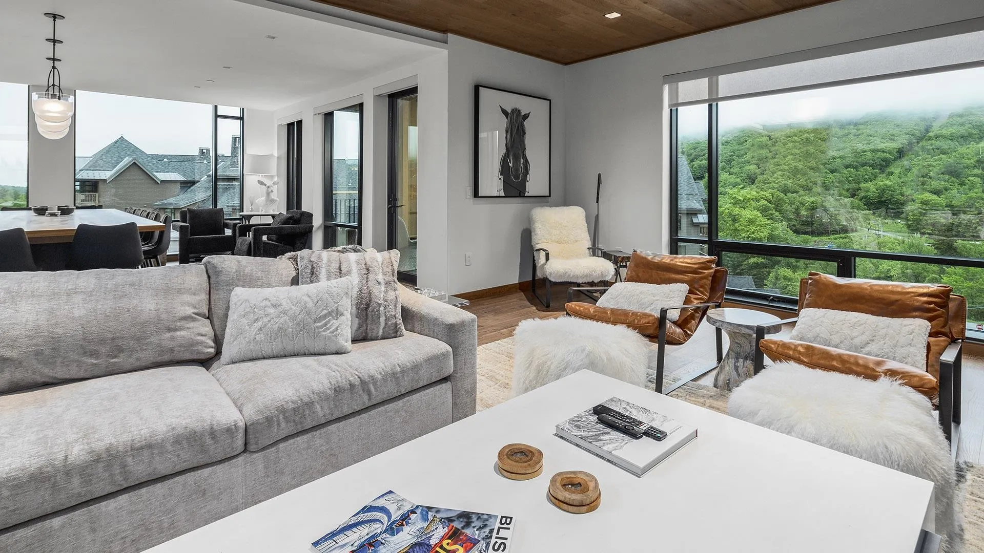 116 Liftline Drive Stowe VT 05672