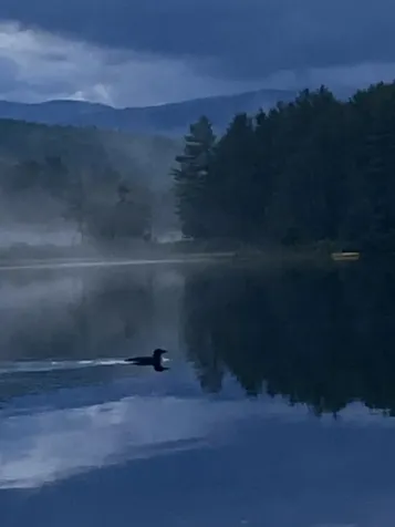 278 Moores Pond Road Madison NH 03849