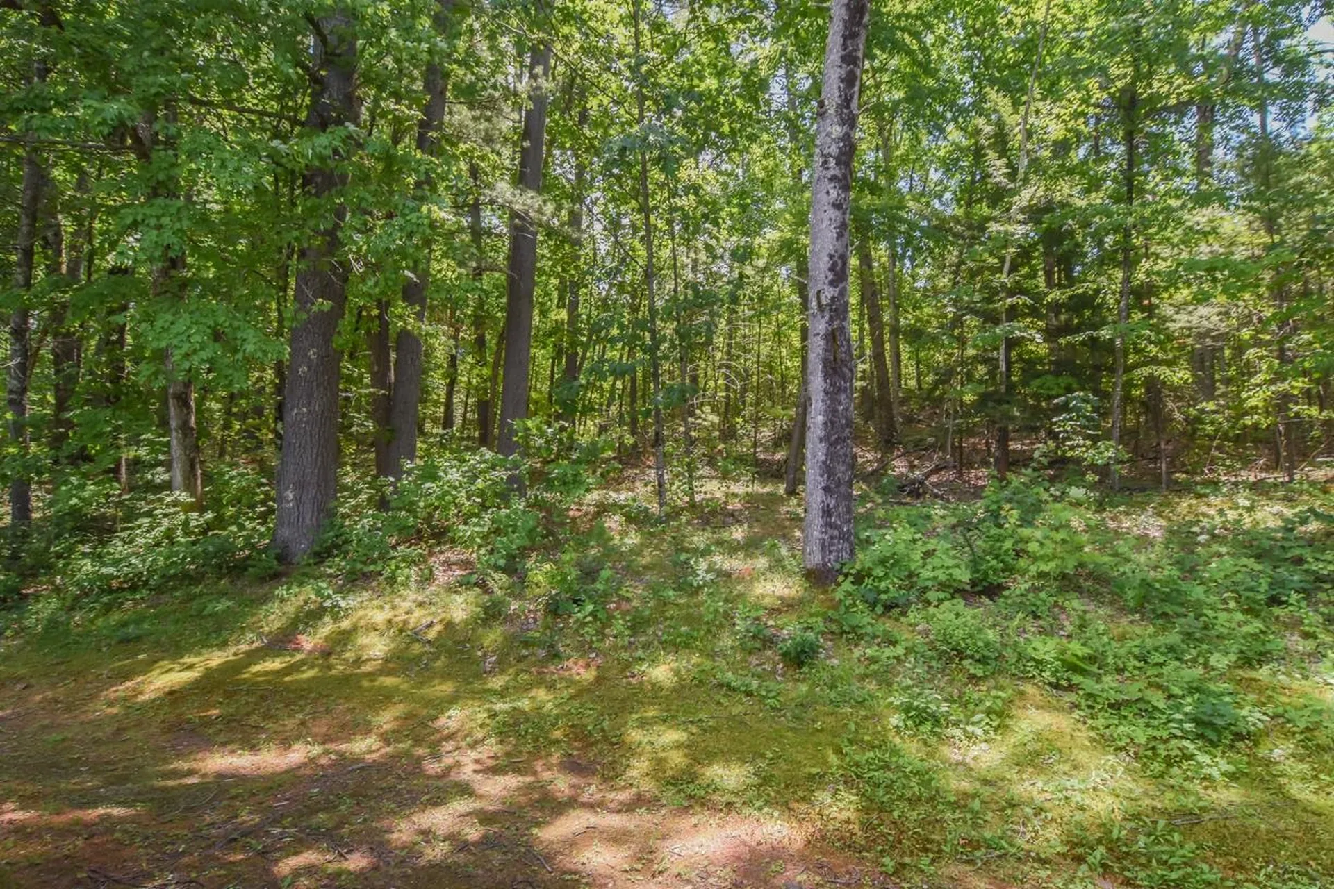 3 Greenleaf Street Merrimack NH 03054