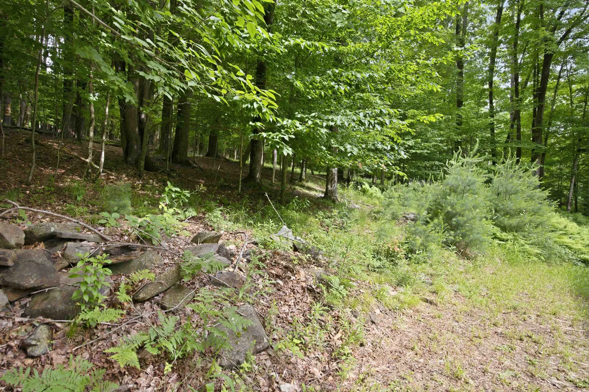 21 Foliage View Road Lebanon NH 03766