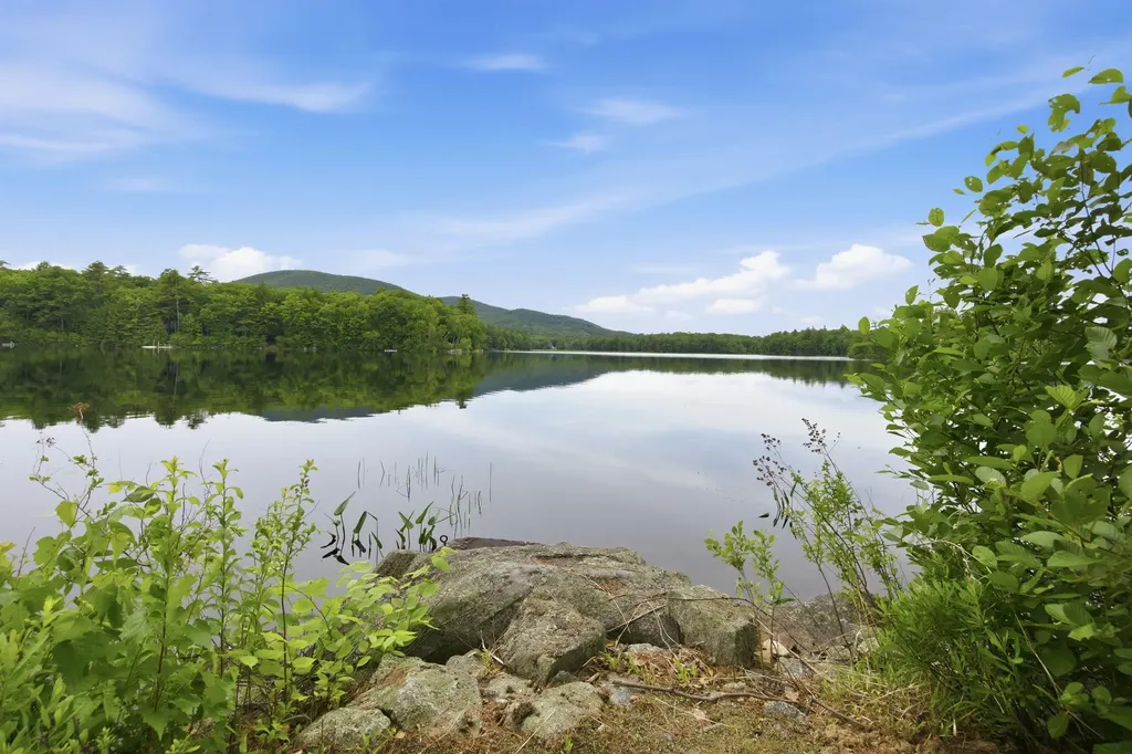 63 Moose Walk Moultonborough NH 03254