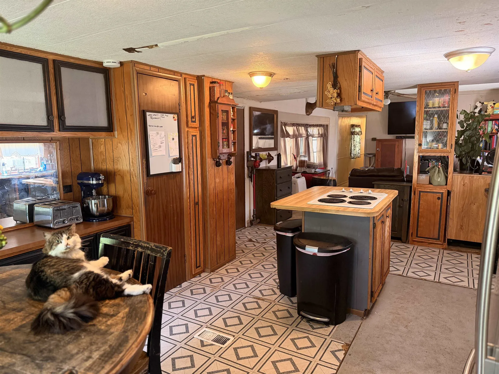 1 South Cranberry Lane Rochester NH 03867