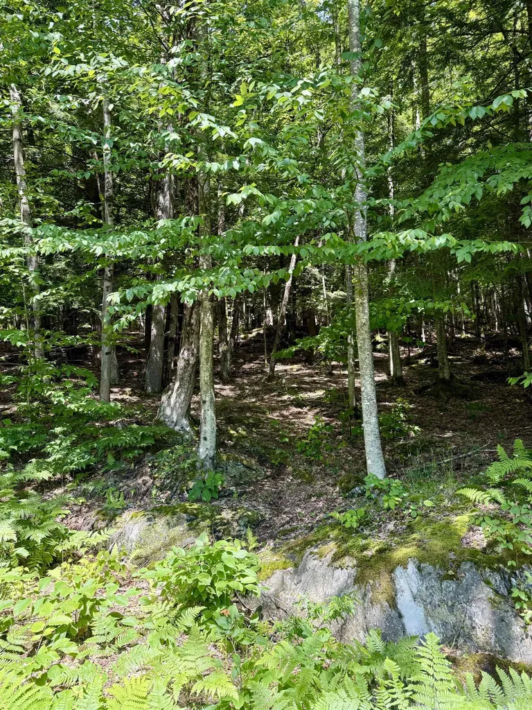 175 Sunset Rock Road Lebanon NH 03766