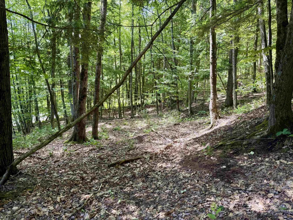 175 Sunset Rock Road Lebanon NH 03766