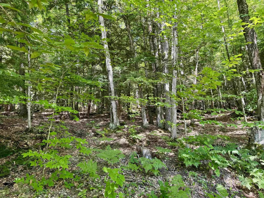 175 Sunset Rock Road Lebanon NH 03766