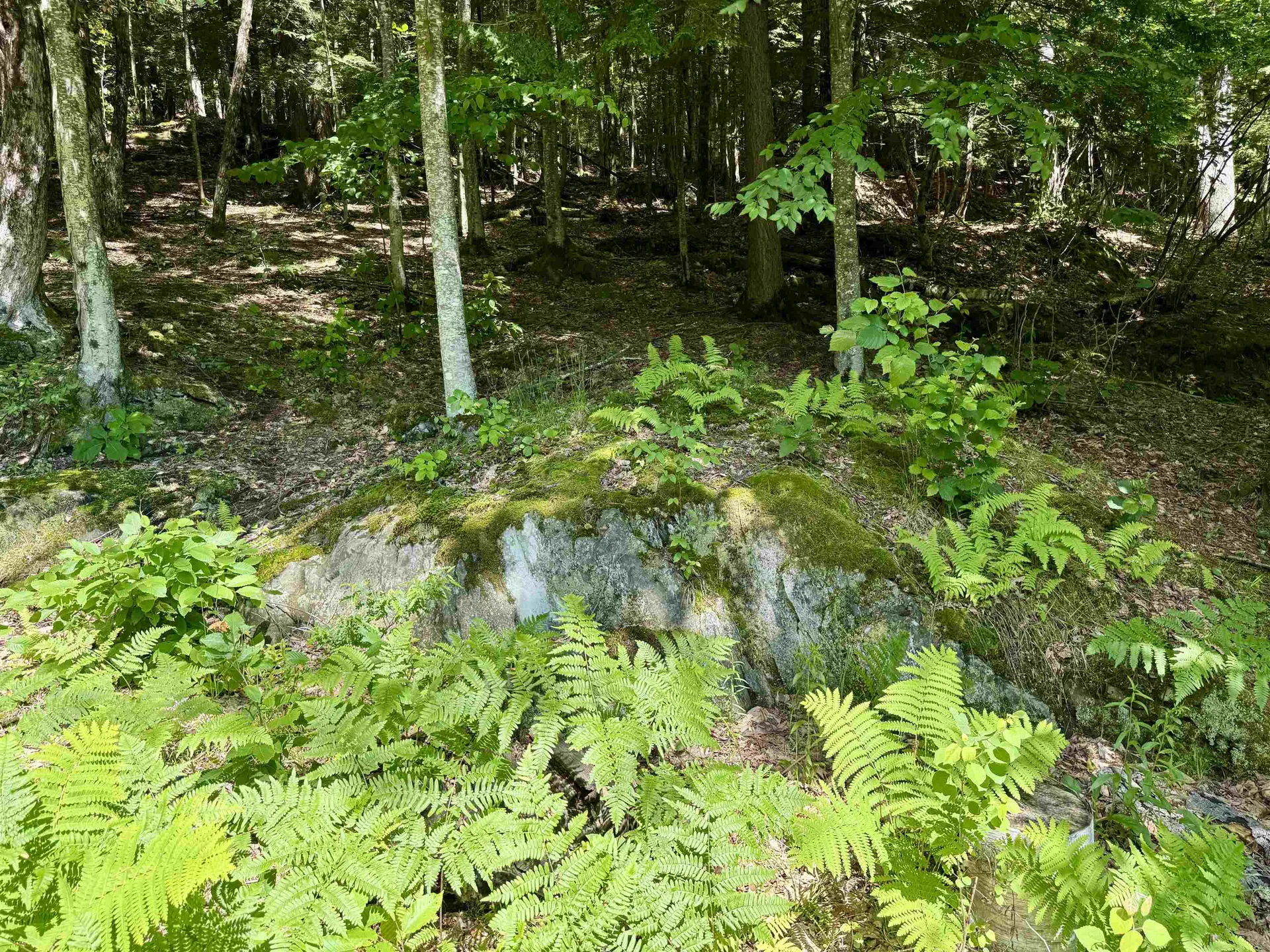 175 Sunset Rock Road Lebanon NH 03766