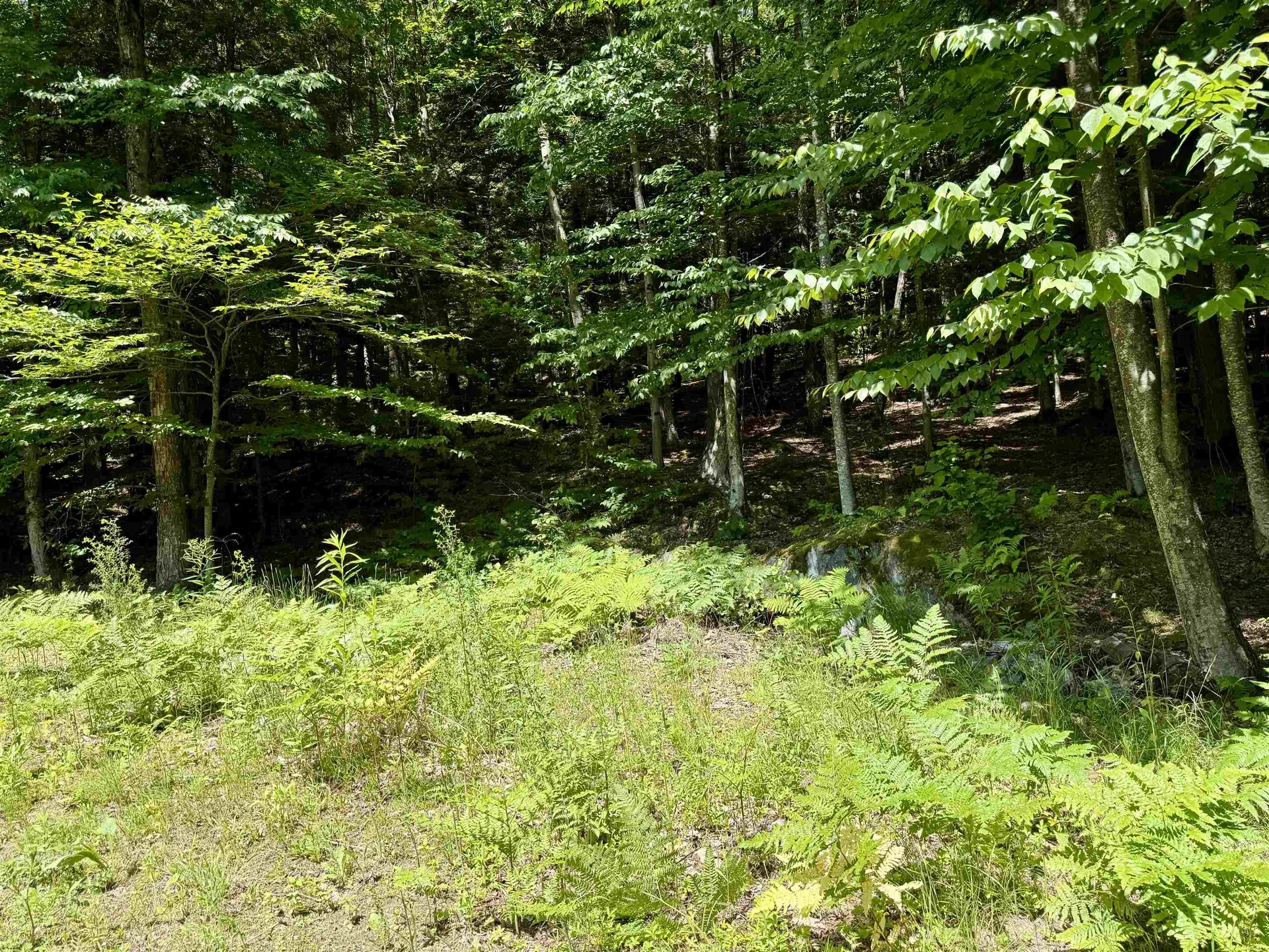 175 Sunset Rock Road Lebanon NH 03766