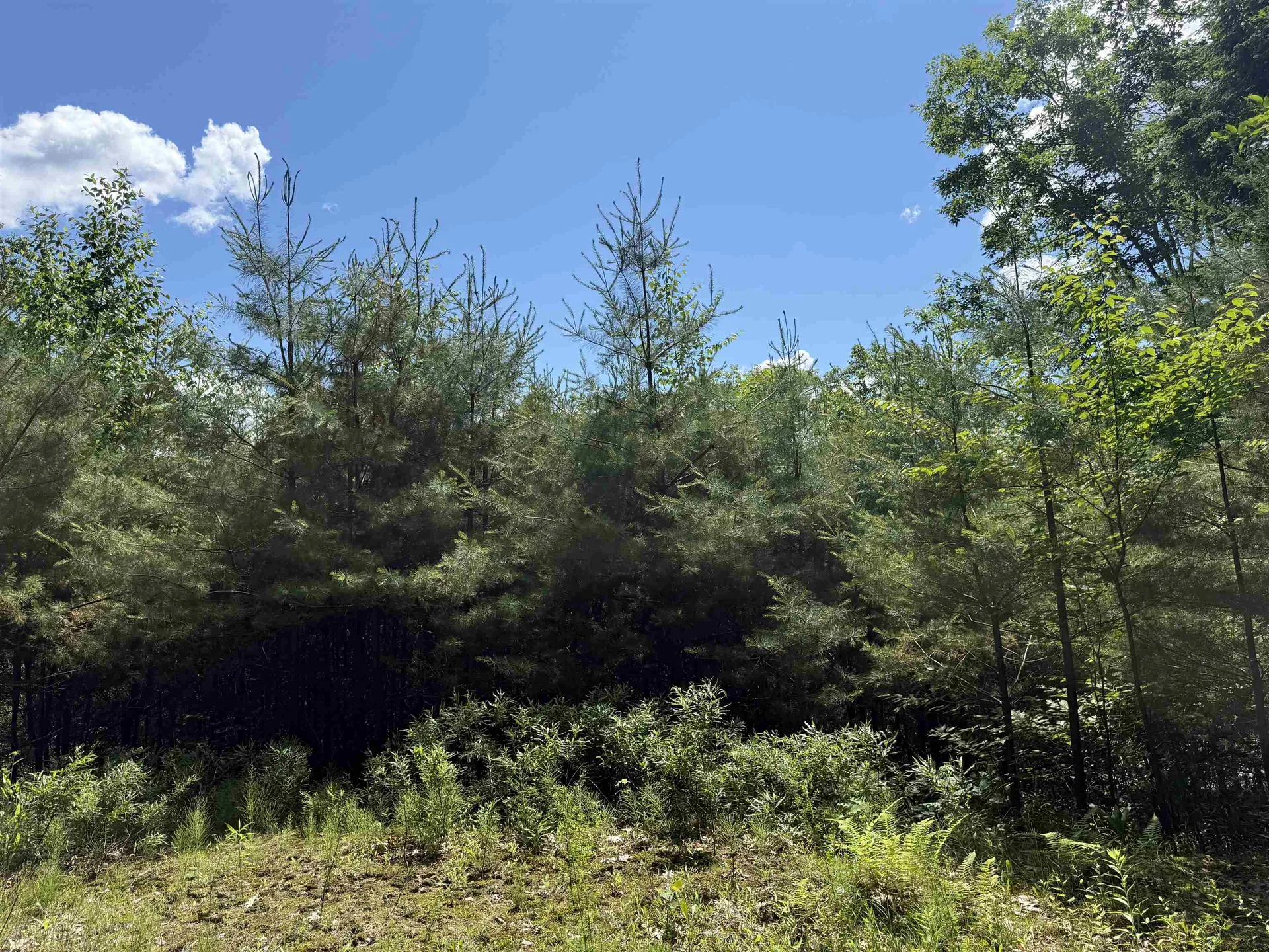 175 Sunset Rock Road Lebanon NH 03766
