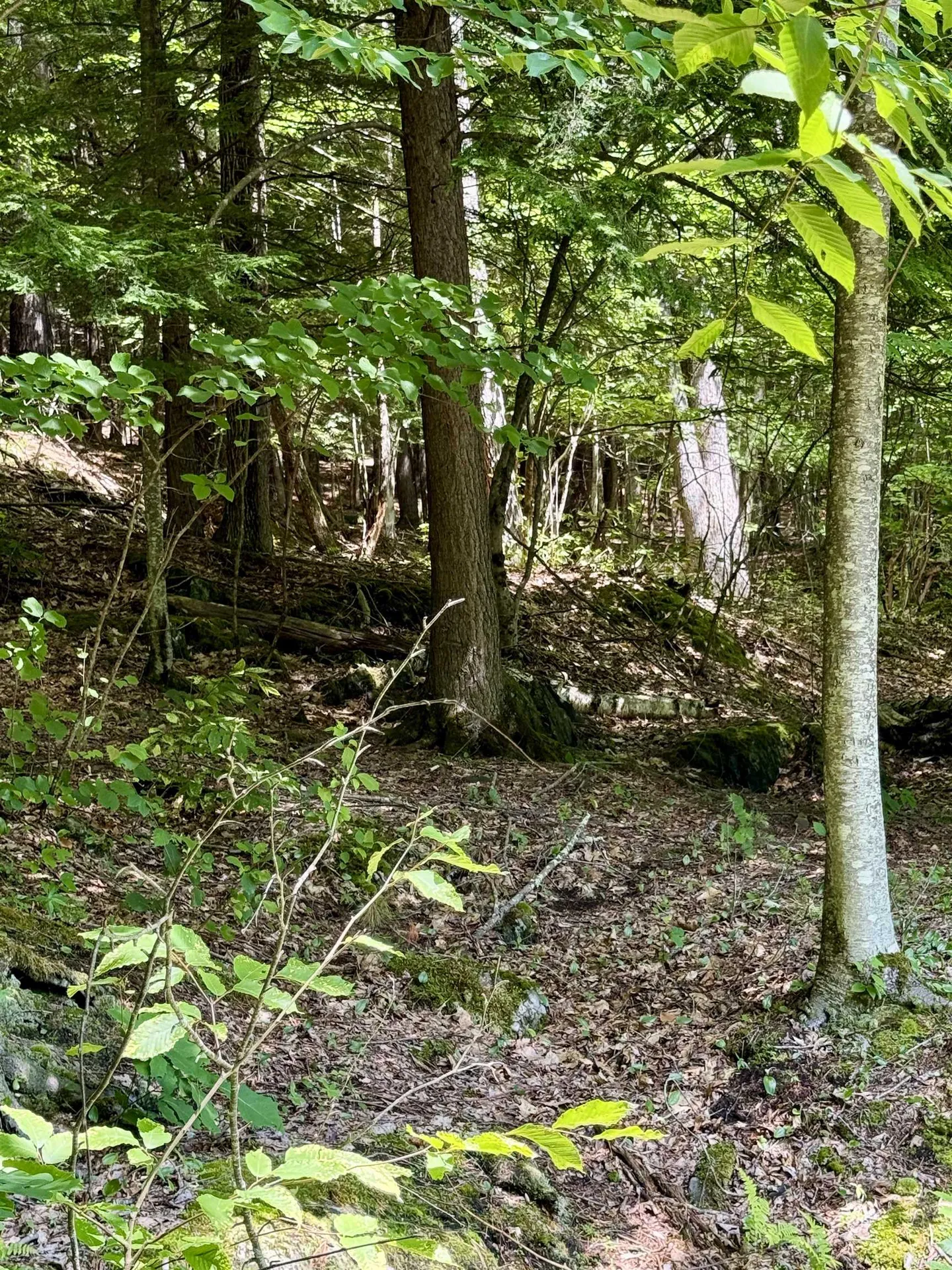 175 Sunset Rock Road Lebanon NH 03766