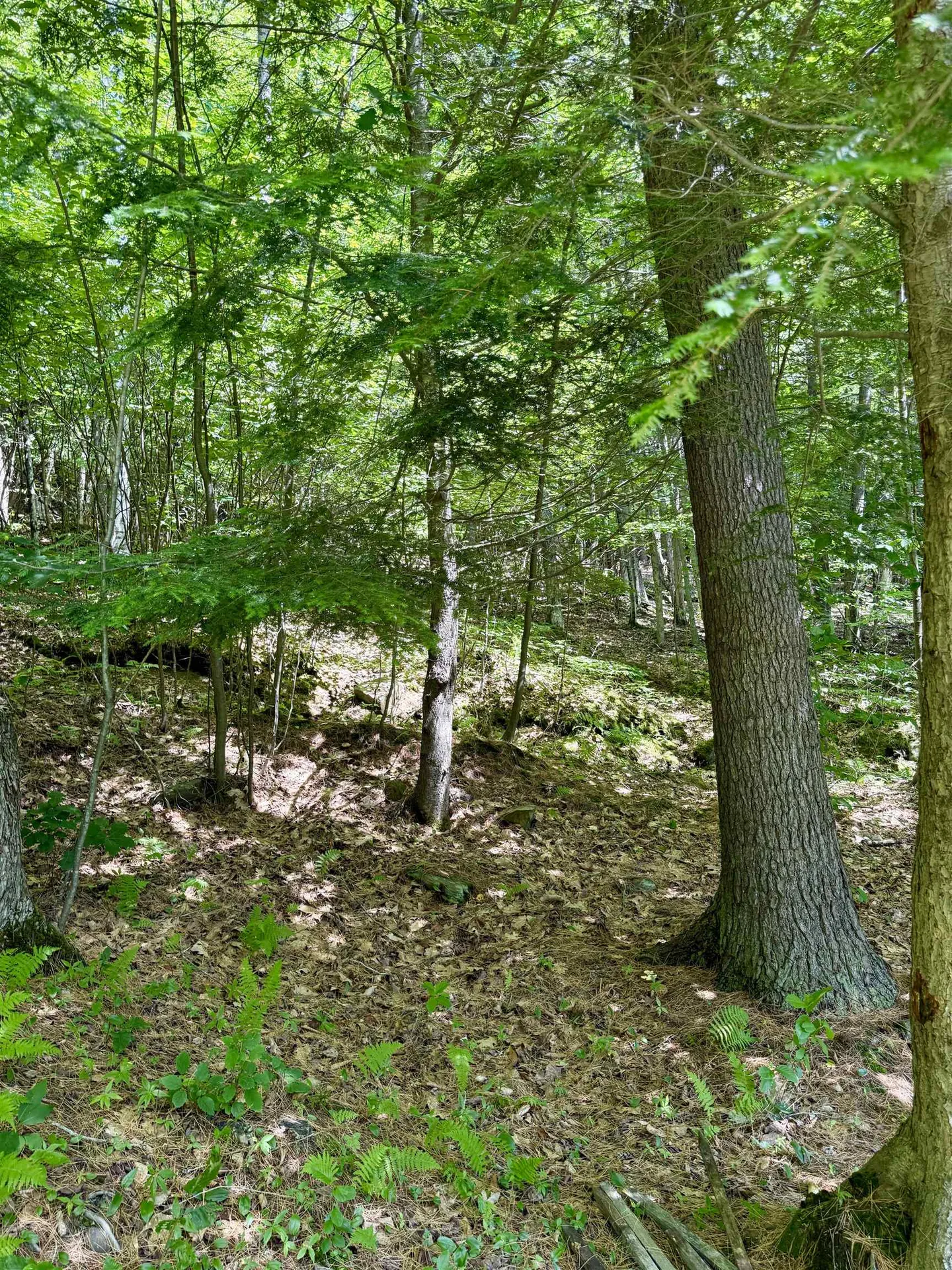 175 Sunset Rock Road Lebanon NH 03766