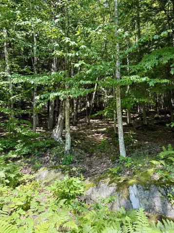 175 Sunset Rock Road Lebanon NH 03766