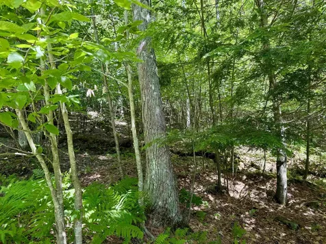 175 Sunset Rock Road Lebanon NH 03766