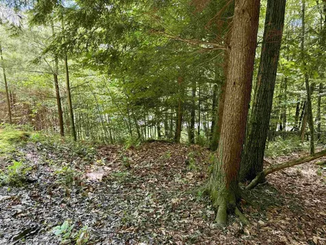 175 Sunset Rock Road Lebanon NH 03766