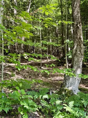 175 Sunset Rock Road Lebanon NH 03766
