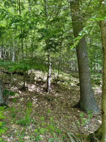 175 Sunset Rock Road Lebanon NH 03766
