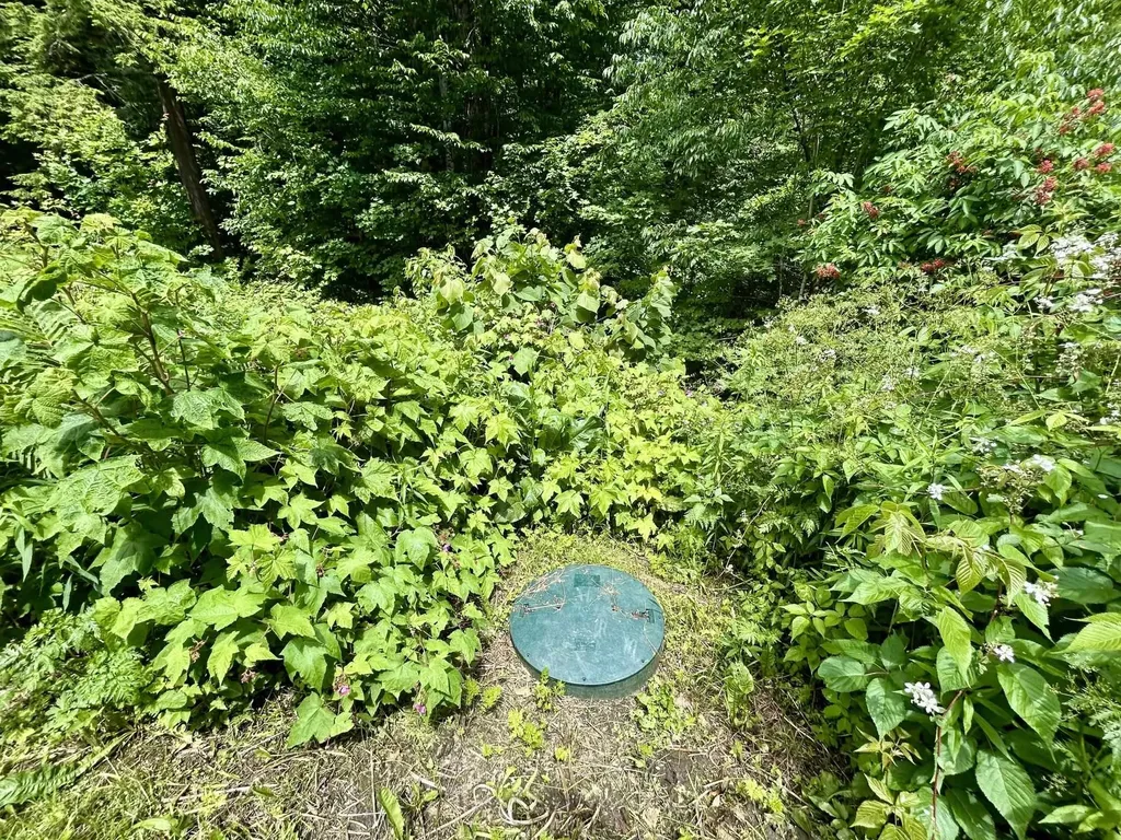 8 Mary White Road Tunbridge VT 05077