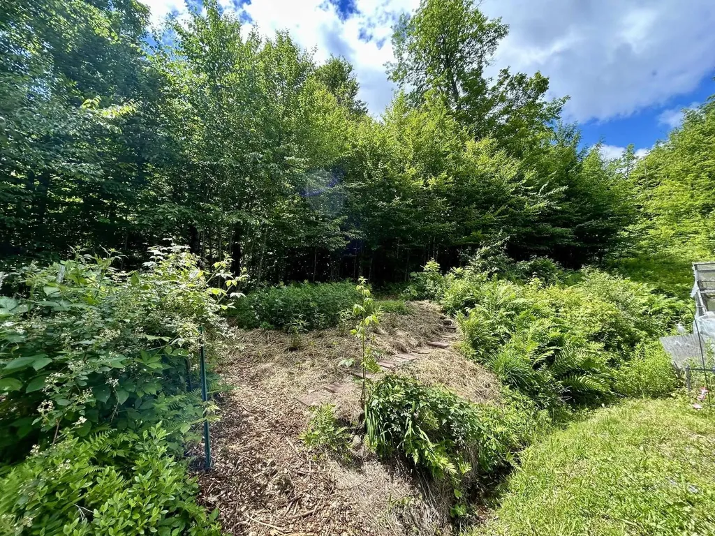 8 Mary White Road Tunbridge VT 05077