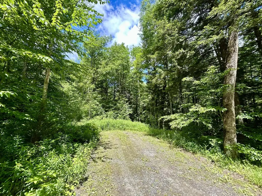 8 Mary White Road Tunbridge VT 05077
