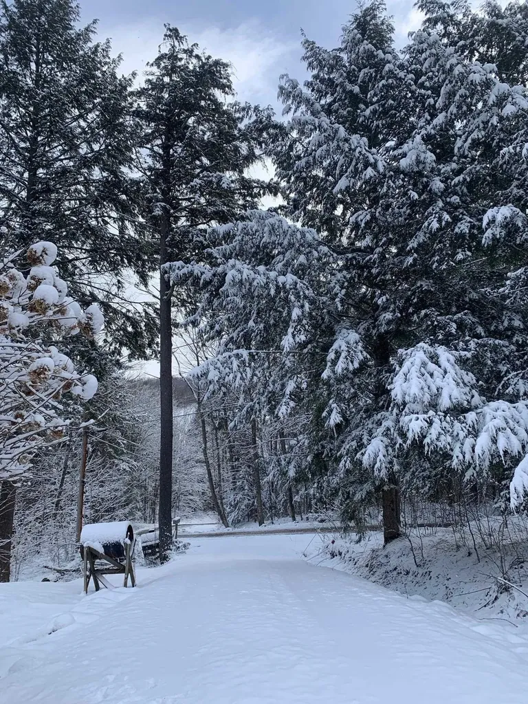 8 Mary White Road Tunbridge VT 05077