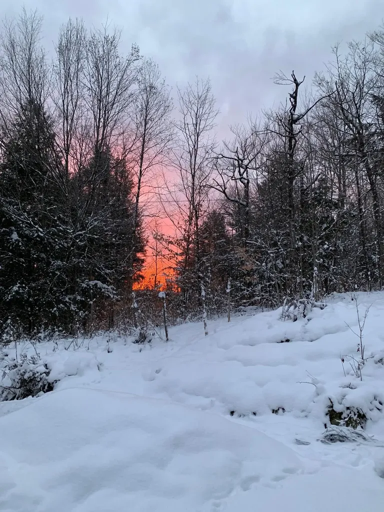 8 Mary White Road Tunbridge VT 05077