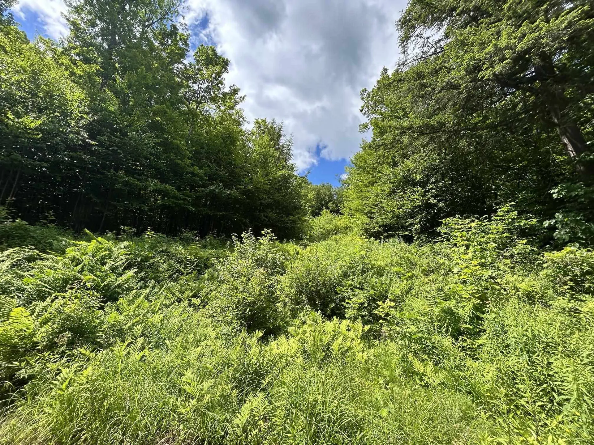 8 Mary White Road Tunbridge VT 05077