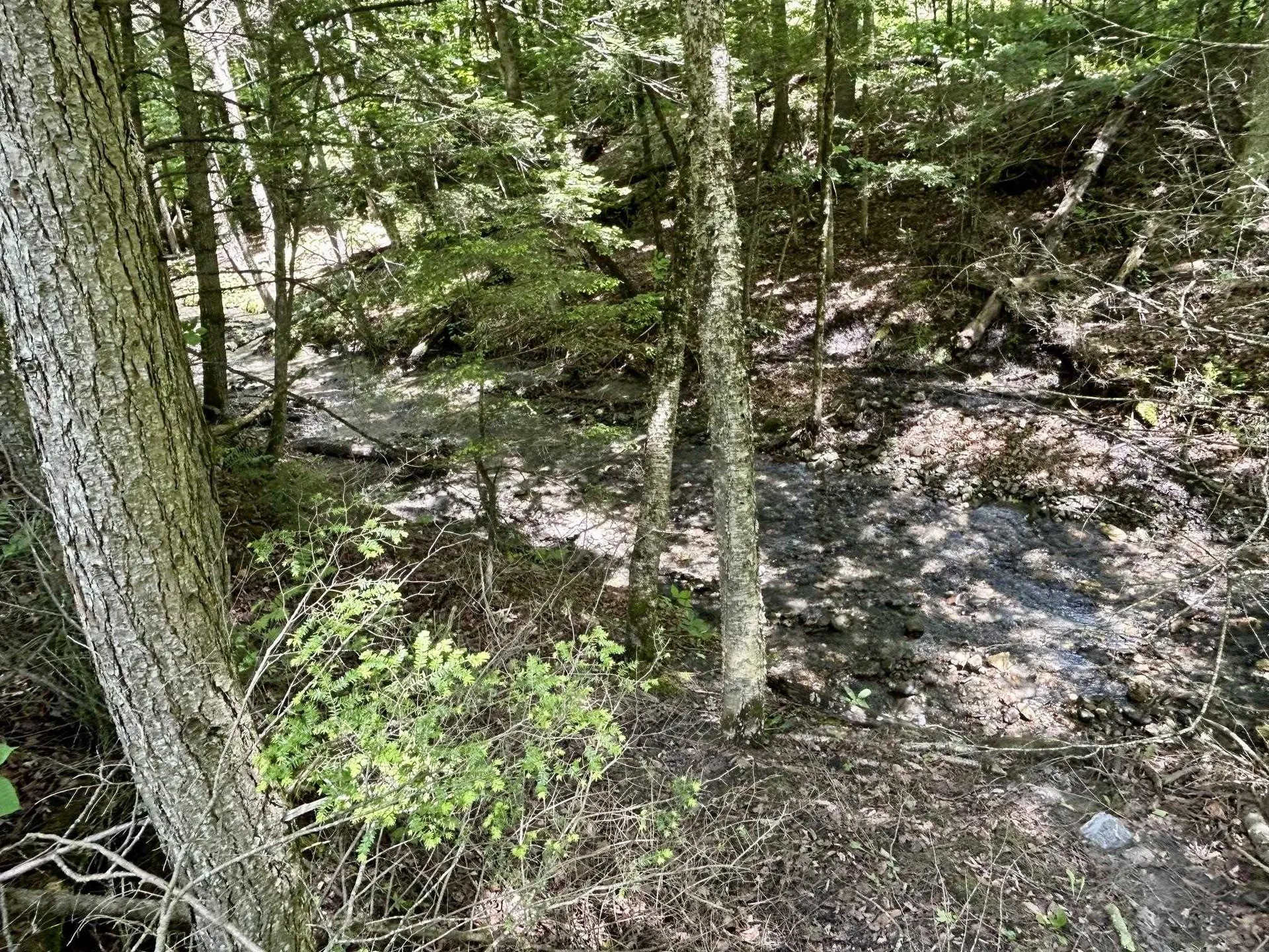 8 Mary White Road Tunbridge VT 05077