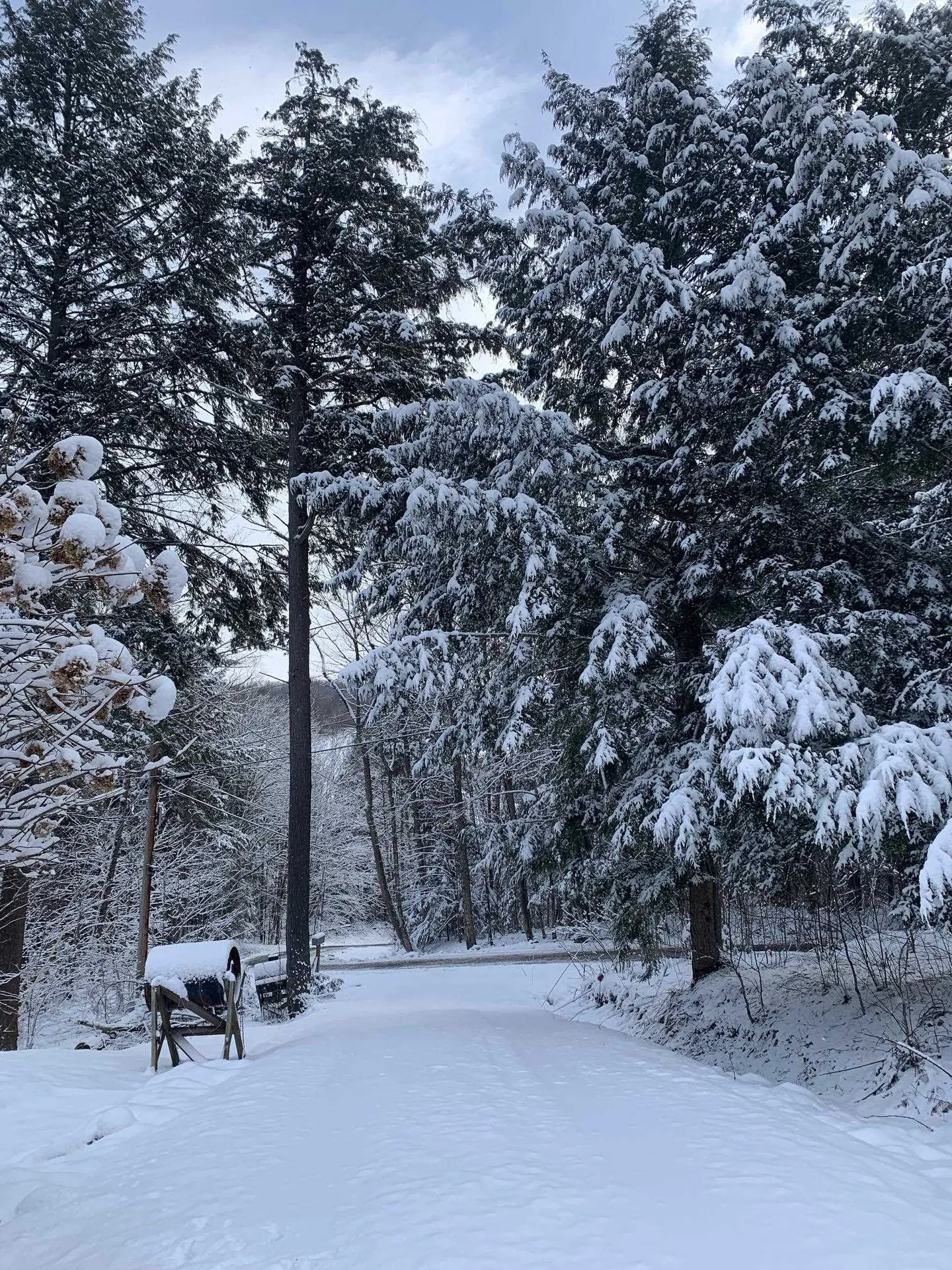 8 Mary White Road Tunbridge VT 05077