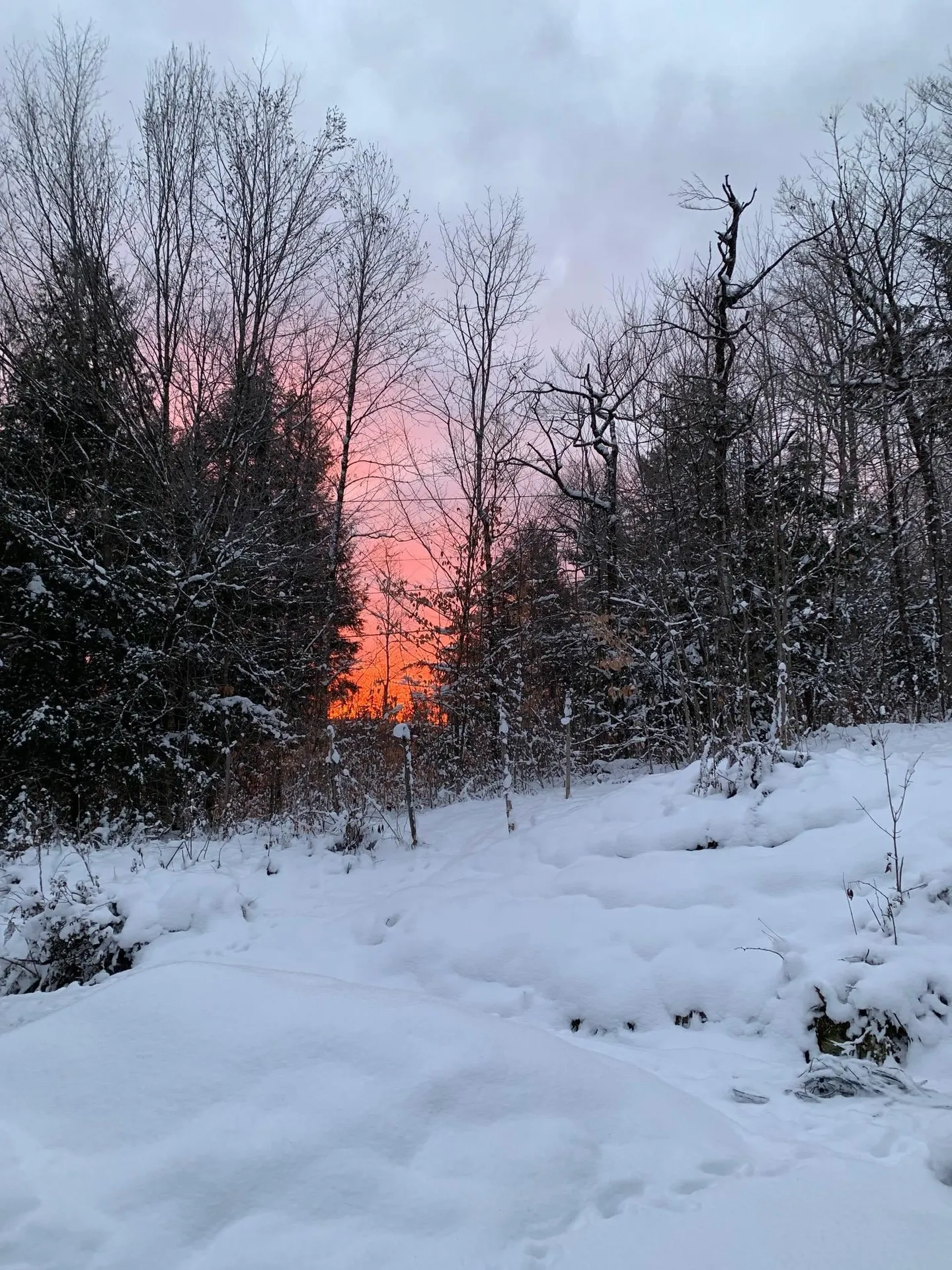 8 Mary White Road Tunbridge VT 05077