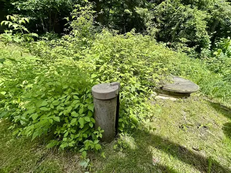 8 Mary White Road Tunbridge VT 05077