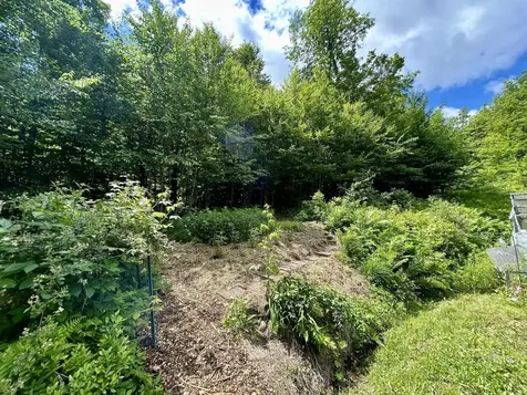 8 Mary White Road Tunbridge VT 05077