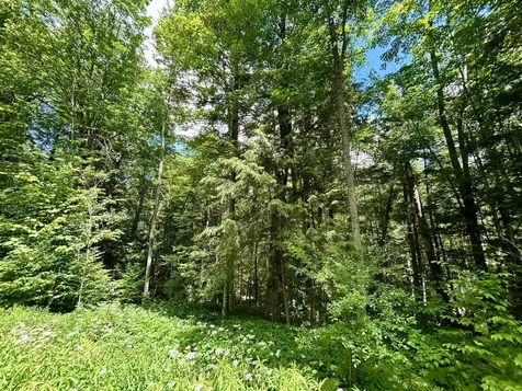 8 Mary White Road Tunbridge VT 05077