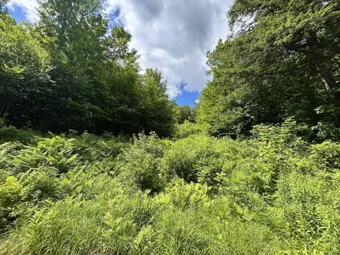 8 Mary White Road Tunbridge VT 05077