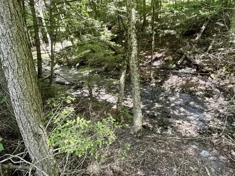 8 Mary White Road Tunbridge VT 05077