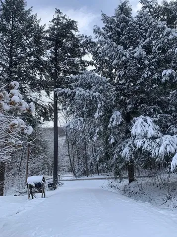 8 Mary White Road Tunbridge VT 05077